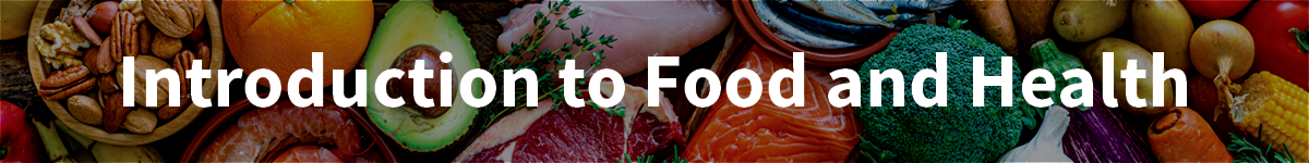 Introduction to Food and Health Banner