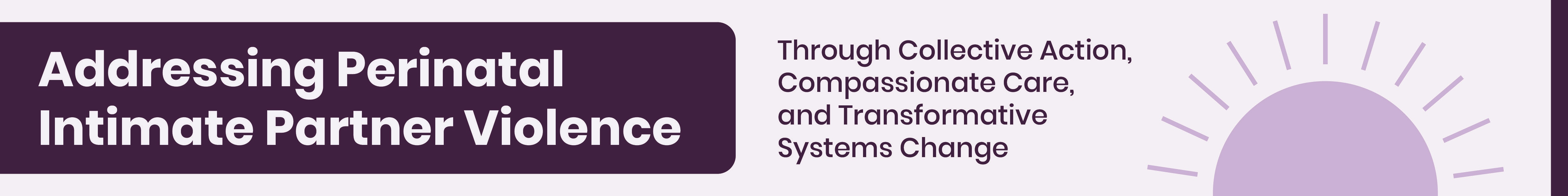 Addressing Perinatal Intimate Partner Violence Through Collective Action, Compassionate Care, and Transformative Systems Change Banner