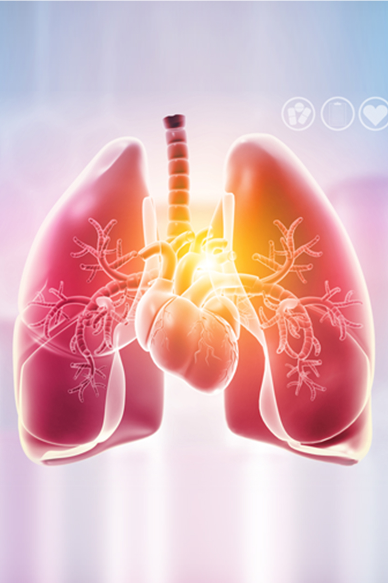 Pediatric Lung and Heart/Lung Transplantation Banner