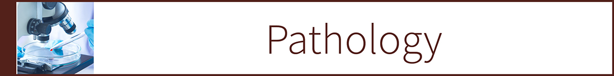 Santa Clara County Medical Examiner Difficult Case Conference Banner