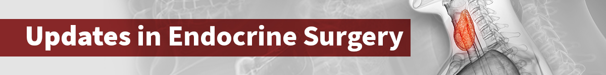 Updates in Endocrine Surgery Banner